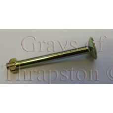 Brake Shoe Hold Down Pin