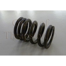 Valve Springs