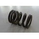 Valve Springs