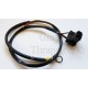 Alternator Harness