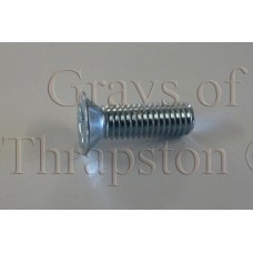 Hatch Hinge Screw