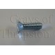 Hatch Hinge Screw